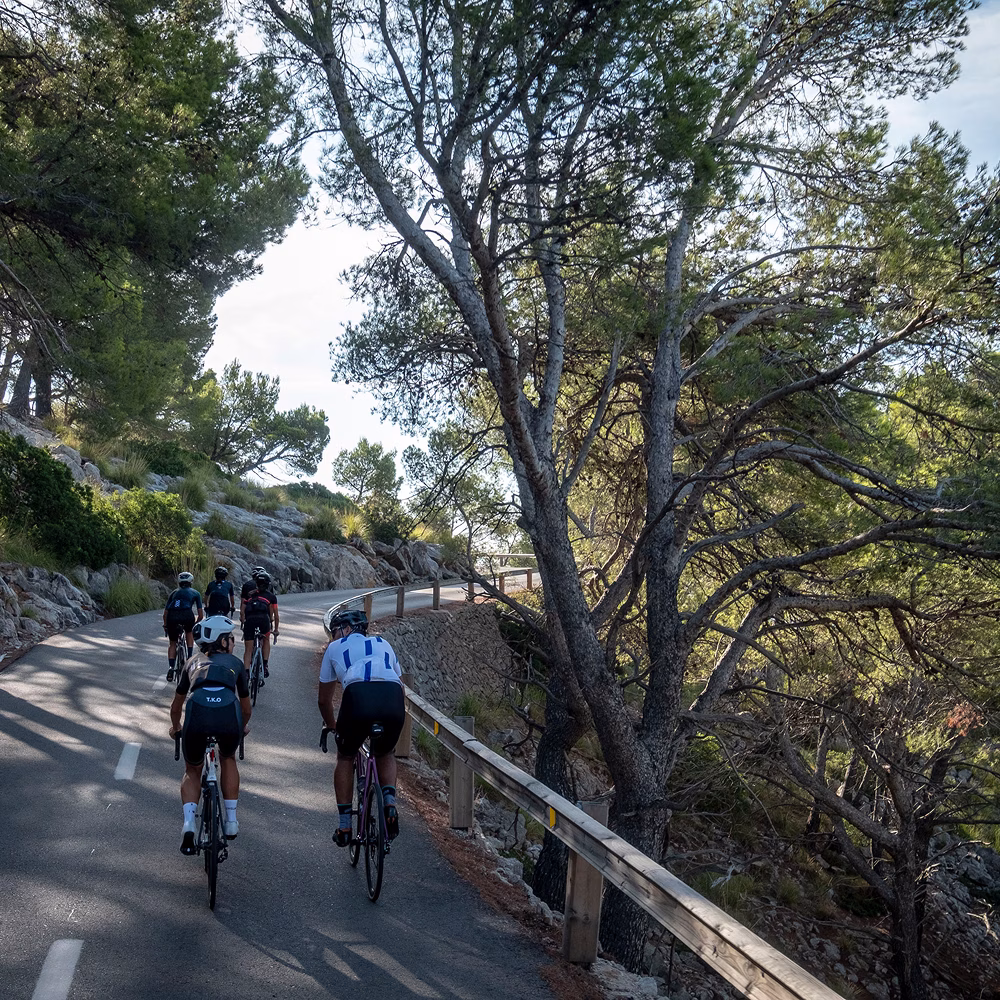HighCohesion team on a bike ride
